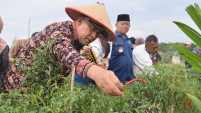Inflasi Kota Jambi Bulan Maret Turun