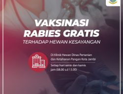 Waspada Kasus Rabies, Abu Bakar Imbau Masyarakat Segera Vaksinasi Hewan Peliharaan