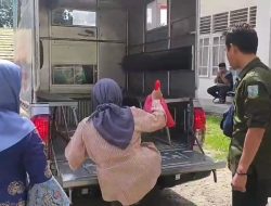 Gepeng Makin Menjamur