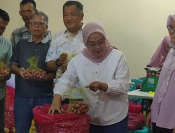 Tekan Harga Bawang, Pemkot Datangkan Bawang Brebes
