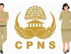 Siap -Siap, Akhir Agustus Rekrutmen CPNS Kota Jambi Dimulai