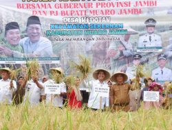 Penjabat Bupati Muaro Jambi Secara Langsung Ikut Panen Padi Bersama Petani di Desa Kedotan