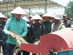 Bupati Fadhil Arief Panen Padi Sawah KT Sinar Pajar dan Sido Mulyo Kelurahan Kampung Baru