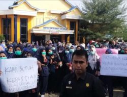 Demo, Honorer RSUD Raden Mattaher : Gubernur tolong perhatikan kami