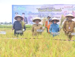 Panen Padi Bersama Masyarakat, Pemkot Jambi Optimalkan Keterbatasan Lahan Pertanian