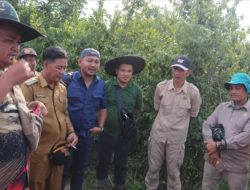 Komisi II DPRD Batanghari Tinjau Tapal Batas Lahan Masyarakat dengan Kawasan Perkebunan PT. WKS