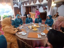 Wakil Ketua Tim Penggerak PKK Kabupaten Muaro Jambi Novi Astrianti, SE.,  Pelantikan pengurus Tim Penggerak PKK dan Tim Pembina Posyandu Provinsi Jambi 