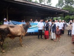 Wakil Bupati Muaro Jambi Junaidi H. Mahir beserta Istri Melaksana Sholat Idul Adha dan Serahkan Hewan Qurban