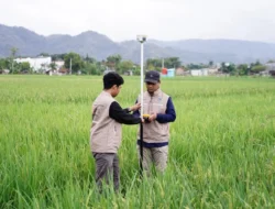 Cara Cek Petugas Ukur Tanah Resmi BPN, Hindari Penipuan