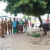 Hj Hesnidar Haris Salurkan Bantuan Hewan Kurban di Dua Kabupaten
