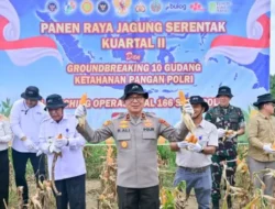 Polda Jambi Gelar Panen Raya Jagung Dukung Ketahanan Pangan Nasional