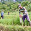 ATR/BPN Ajak Warga Pasang Patok demi Hindari Konflik Tanah