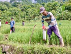 ATR/BPN Ajak Warga Pasang Patok demi Hindari Konflik Tanah
