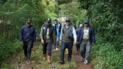 Ariansyah Hadiri Panen Kopi Robusta Kerinci Wakili Gubernur Jambi