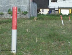 Tips Jaga Tanah agar Tidak Diserobot, Ini Langkah Pentingnya