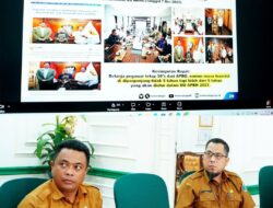 Pemkab Batang Hari Ikuti RDP Komisi II DPR RI Bahas PPPK
