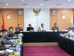 Wamen ATR/BPN Tekankan Peran Kepala Daerah Selesaikan Persoalan Pertanahan