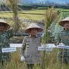 Al Haris Hadiri Panen Raya TNI Geragai, Perkuat Ketahanan Pangan Nasional