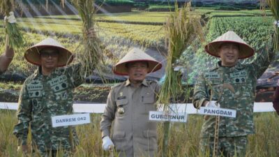 Al Haris Hadiri Panen Raya TNI Geragai, Perkuat Ketahanan Pangan Nasional