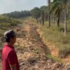 Hampir Tiga Tahun Menanti, Warga Muaro Jambi Minta Kepastian Ganti Rugi Sawit