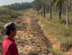 Hampir Tiga Tahun Menanti, Warga Muaro Jambi Minta Kepastian Ganti Rugi Sawit